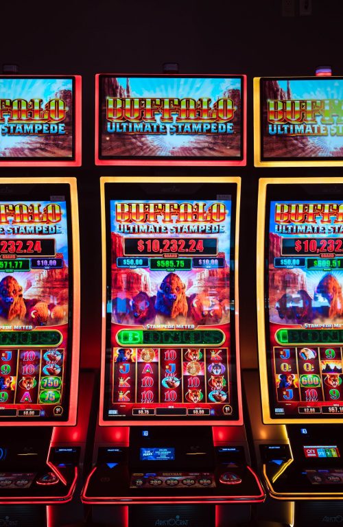 Buffalo Ultimate Stampede 