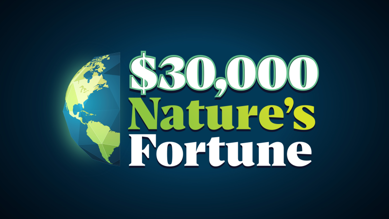 Nature’s Fortune